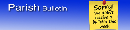 No Bulletin